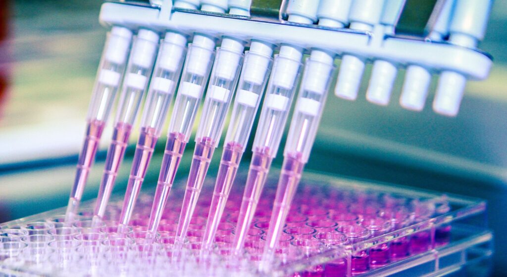 up to data Multi-Run Assay Control Solutions | Multi-channel pipette with pink samples positioned over laboratory microplate for precise sample dispensing.