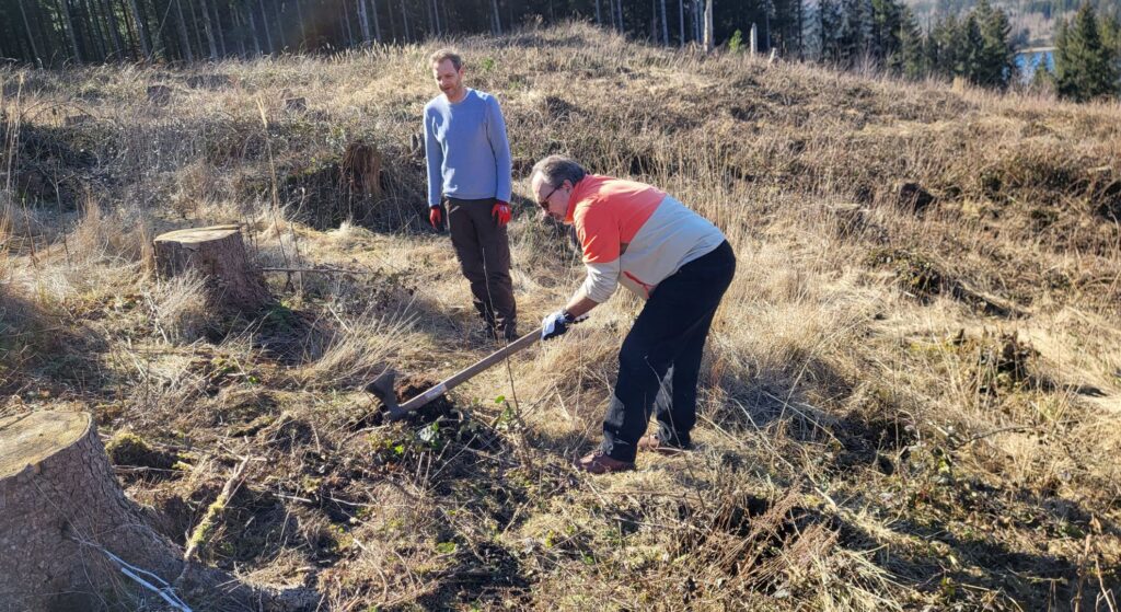 up to data Tree-Planting | Two team members engaged in reforestation work with one person digging and planting while another observes in cleared forest area